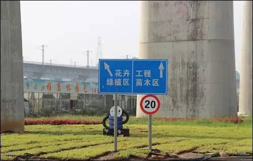 武汉宠物食品批发市场:武汉有专门的花鸟市场吗？