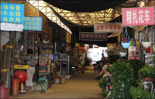 武汉宠物食品批发市场:武汉有专门的花鸟市场吗？