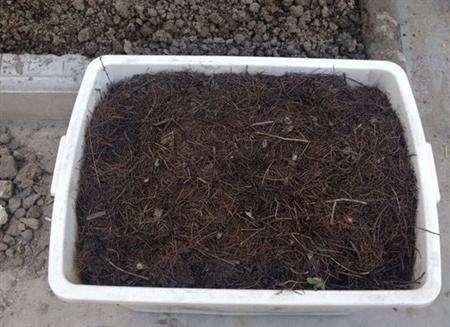 一星期自制腐叶土,河沙煤渣腐叶土可以做营养土吗？