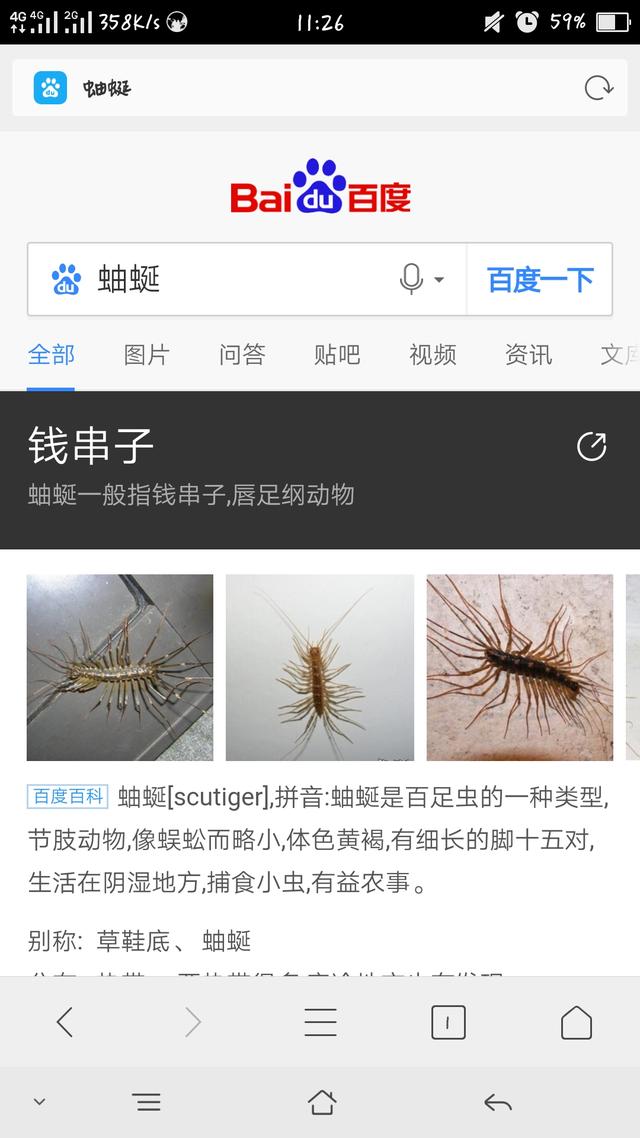 在夜晚的时候,你看什么东西最可怕？