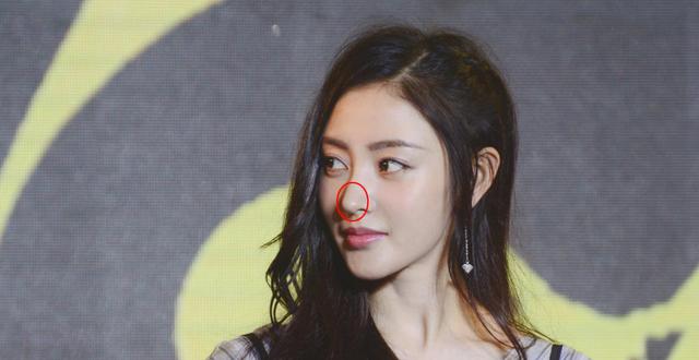 贾青整容:整容最成功的女明星是谁？