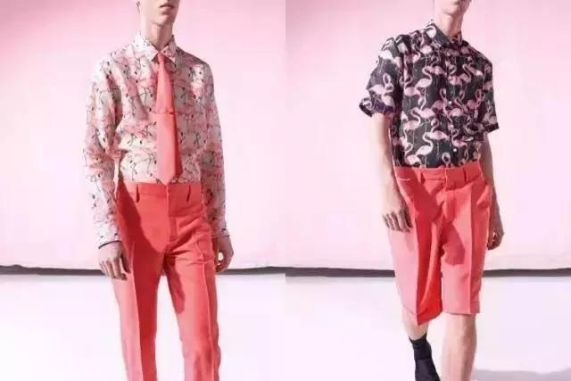 为什么火烈鸟形象会成为时尚圈的最爱、服装和珠宝设计都爱用？:火烈鸟象征什么 第4张