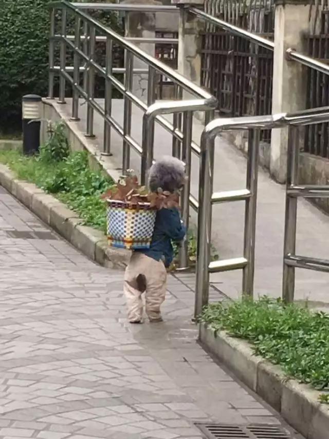 焦作<a href=https://maguai.com/personal/ target=_blank class=infotextkey><a href=https://maguai.com/group/ target=_blank class=infotextkey>微信群</a></a>大全:做什么会让自己每天都精力充沛？