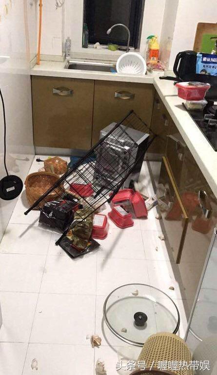 张嫮目被爆家暴:快乐星球“艾克”被爆出家暴，暴力犯罪距离我们真的很远吗？