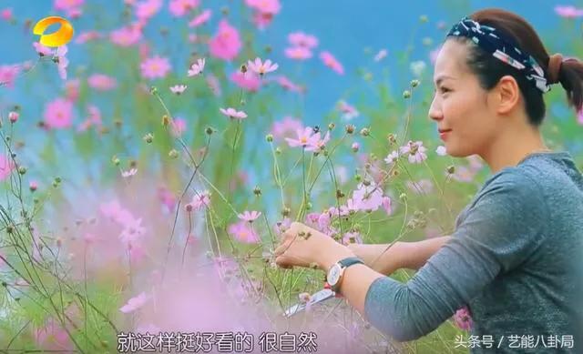 刘涛儿子女儿:看了《亲爱的客栈》，你怎么看刘涛和王柯这对夫妇的？