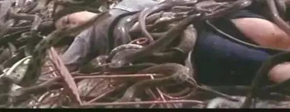 台湾红衣小女孩事件:虽已经上了年纪，但依然“少女感”爆棚的女星是谁