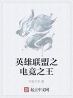 关于lol的小说有哪些推荐？