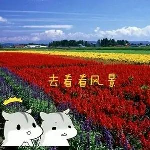 异地恋女生已经不喜欢你的表现有哪些？