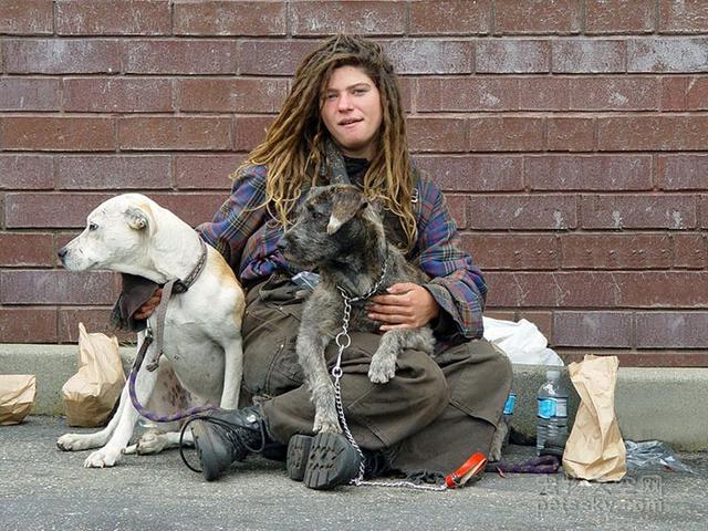 导盲犬珍妮 寄养家:导盲犬珍妮退役后的生活 哪部电影中狗对主人的忠诚感动了你？