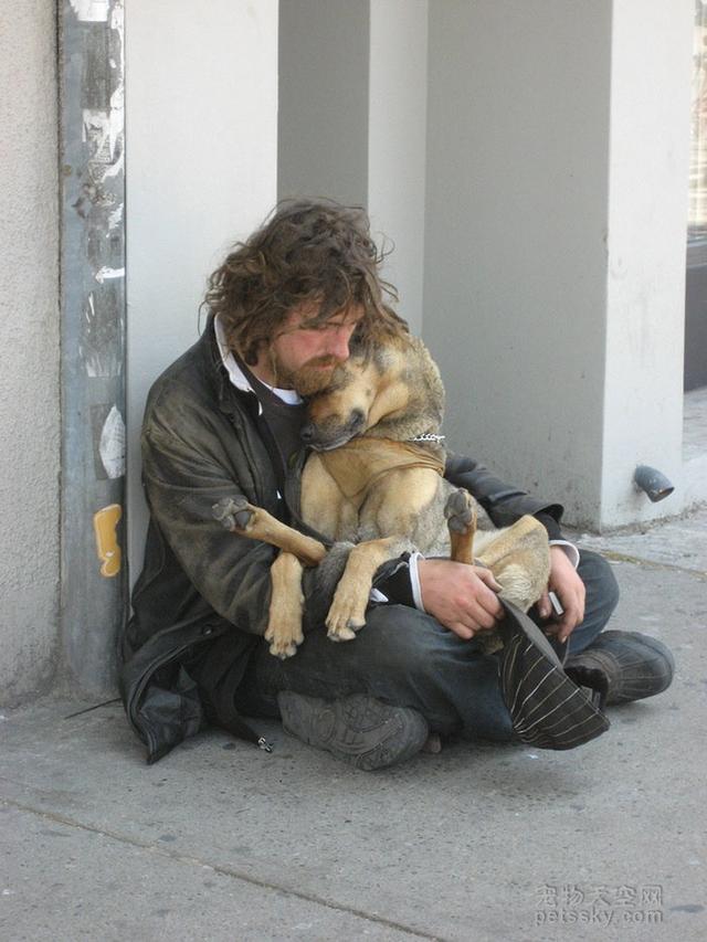 导盲犬珍妮 寄养家:导盲犬珍妮退役后的生活 哪部电影中狗对主人的忠诚感动了你？