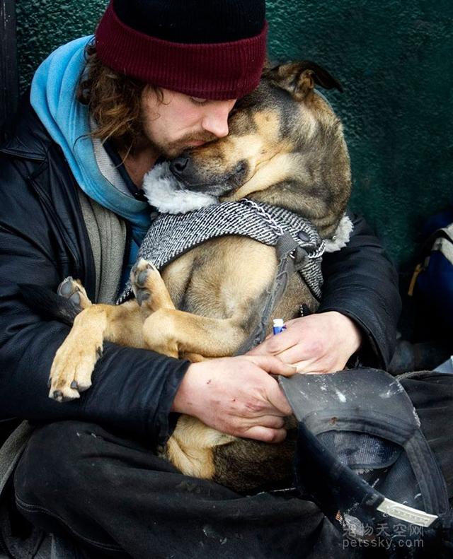 导盲犬珍妮 寄养家:导盲犬珍妮退役后的生活 哪部电影中狗对主人的忠诚感动了你？
