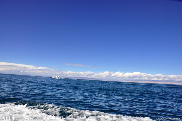 普通秋沙鸭:青海湖是咸水湖还是淡水湖？