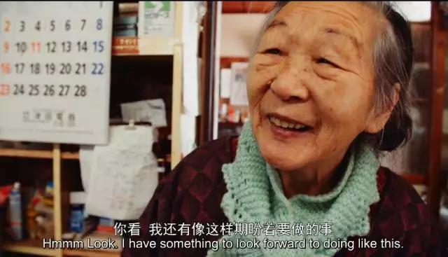 猫咪物语10:有哪些关于猫的纪录片值得推荐的？ 猫咪物语1百度云
