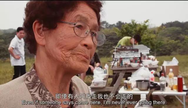 猫咪物语10:有哪些关于猫的纪录片值得推荐的？ 猫咪物语1百度云