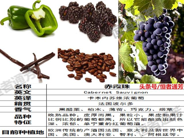 赛美容葡萄特点:葡萄种类繁多，哪种葡萄适宜酿酒？