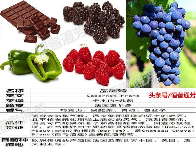 赛美容葡萄特点:葡萄种类繁多，哪种葡萄适宜酿酒？