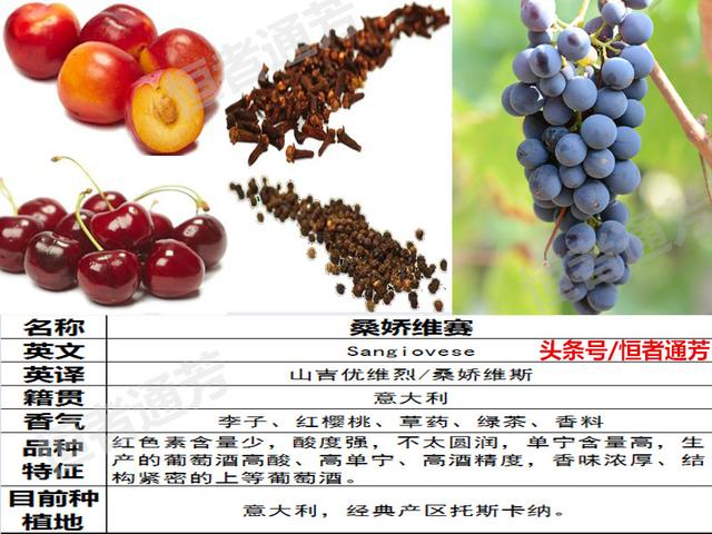 赛美容葡萄特点:葡萄种类繁多，哪种葡萄适宜酿酒？