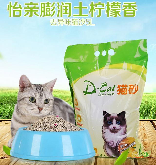 没睁眼野生小鼯鼠吃什么:想养只猫，需要准备些什么，最低要多少钱？