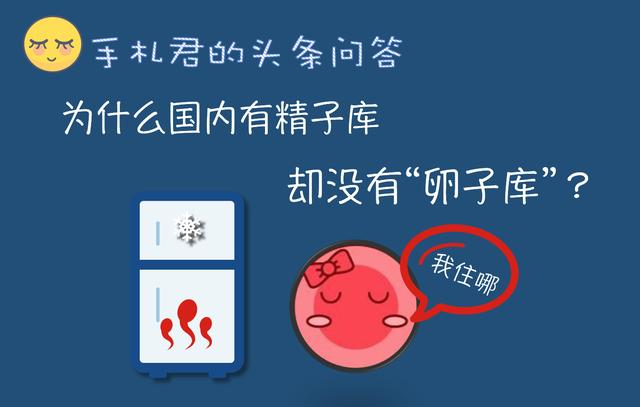 徐静蕾男朋友:徐静蕾称冻卵会上瘾，冷冻卵子技术已经成熟了吗