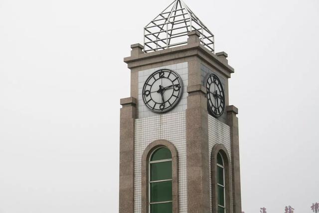 地震后的狗狗高清:汶川地震“猪坚强”住一室一厅还有专人伺候，你怎么看？ 地震后的狗狗