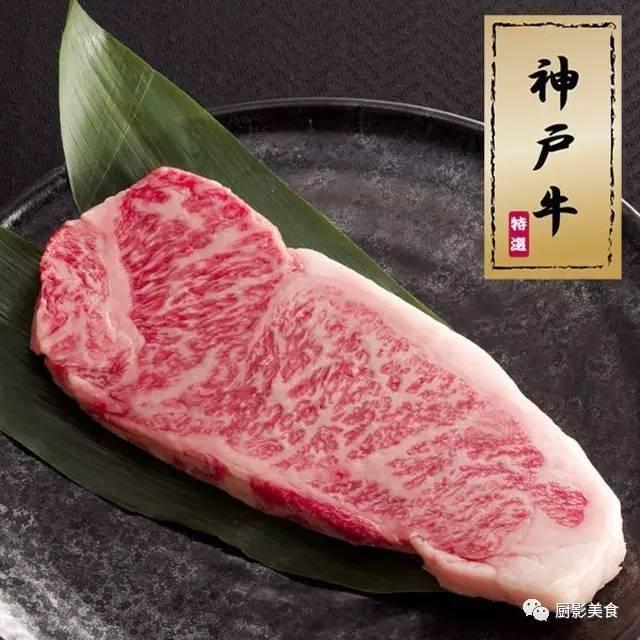 十大世界上最贵的狗排名图片欣赏:世界上最昂贵的肉有哪些？