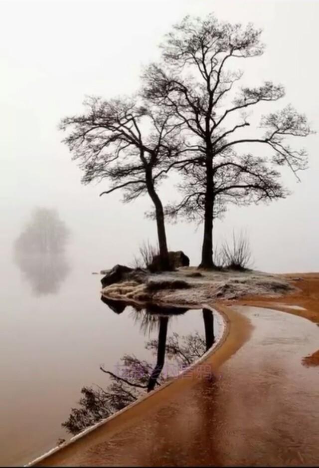 上联柳丝自飘风不止下联