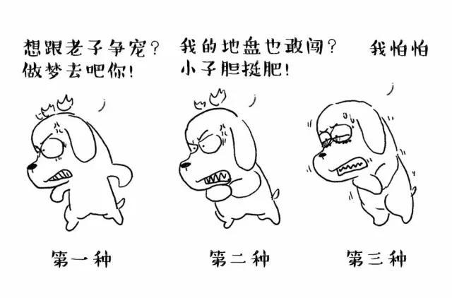 罗威纳犬打架视频大全:狗狗打架，你是冲上去拉架，还是加入战斗？