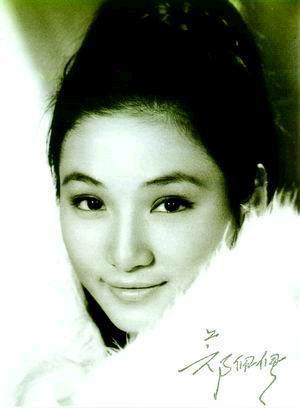 杨紫琼个人资料:有真功夫的女演员有哪些？可以介绍一些吗？