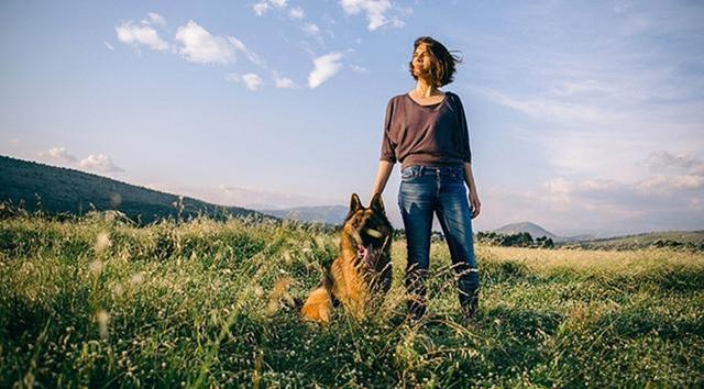 大型宠物犬品种大全:哪种大型犬最适合家养，盘点适合家养的10种大型犬？