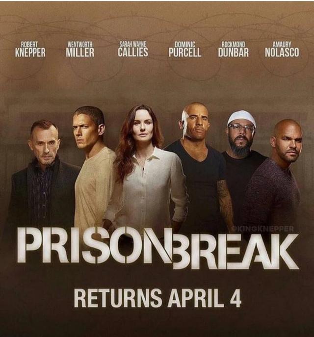 大尺度美剧,有什么好看的美剧或电影可推荐？