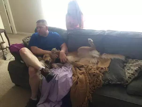 泉州市金毛犬吧:养金毛犬是养公的还是母的好呢？ 泉州哪里有出售金毛犬