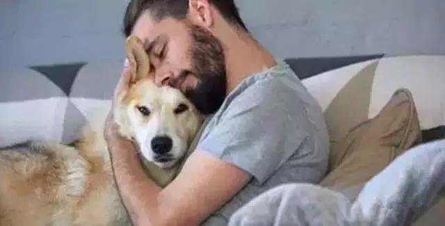 狗语翻译器:如果你的狗狗突然会说话了，你猜它最想对你说什么呢？