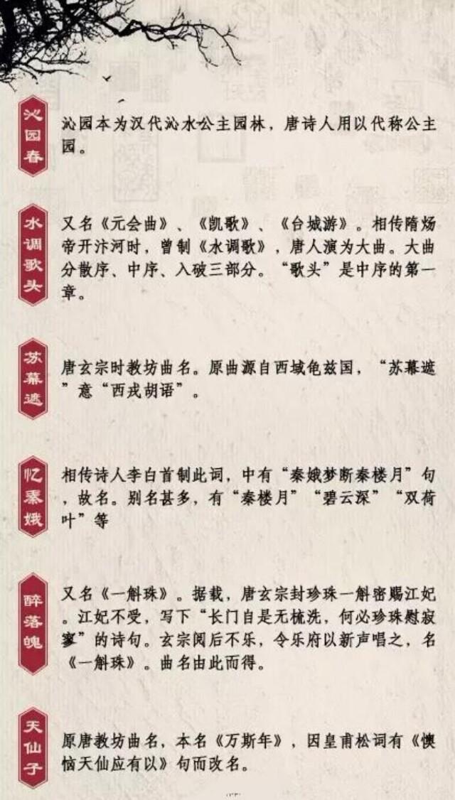 宋词词牌如何识别？