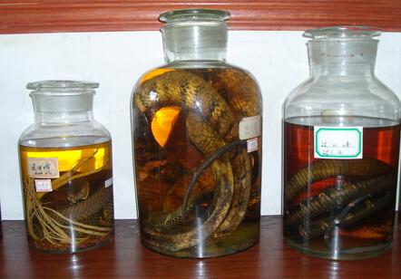 泡蛇酒壮阳用什么药材，泡海蛇酒需要放什么药材呢