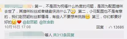 张含韵袁野:张含韵被偷拍裙底，卑微乞求不要蹲着拍，代拍们还有底线吗？
