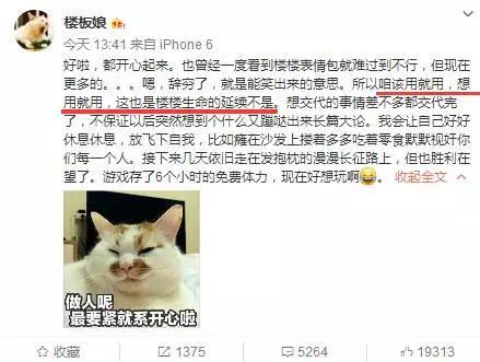 张含韵袁野:张含韵被偷拍裙底，卑微乞求不要蹲着拍，代拍们还有底线吗？