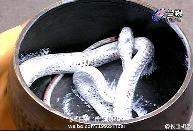 陆贞传奇拍摄花絮:新白娘子传奇拍摄背后有哪些花絮。有图更好