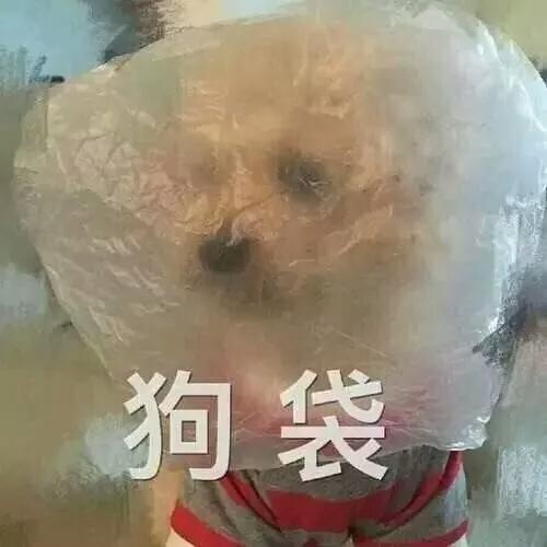 河北伊萨狗粮:有哪些不错的国产天然狗粮？ 河北狗粮黑名单