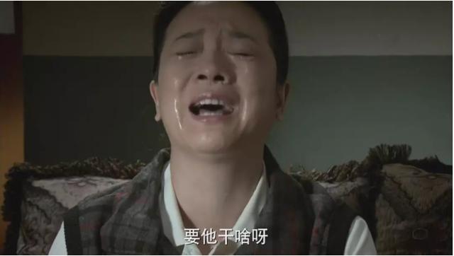 陈小艺刘惠宁:《我的父亲母亲》电视剧好看么？