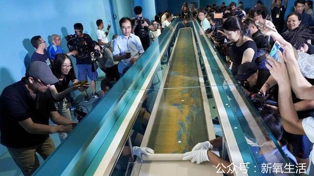 千里江山图究竟因为什么原因在上世纪封存了30余年不对外开放？插图1