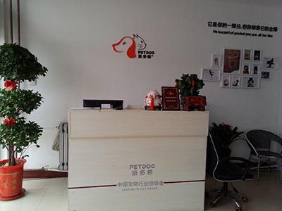 经营宠物医院游戏大全:现在的宠物市场开家宠物医院怎么样？