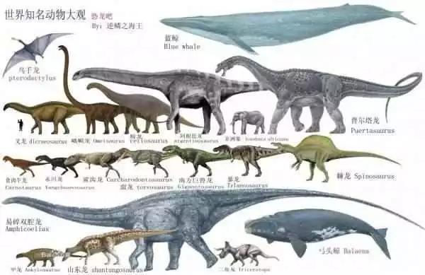 史前生物马萨德巨蛇图:为什么远古时代的动物个体都很大？