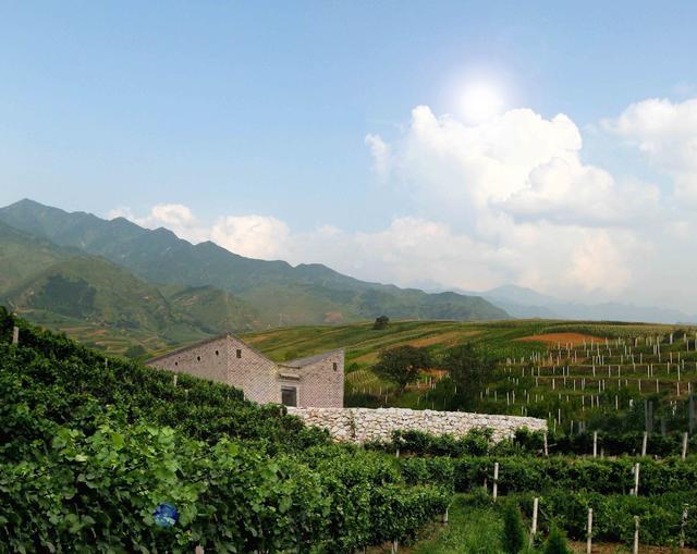 中国最好的红酒，国内有哪些比较好的葡萄酒品牌可以推荐