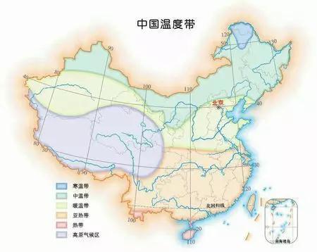 甘肃发现首例白化野骆驼:骆驼有许多散养的，怎样区分骆驼是野骆驼还是家骆驼