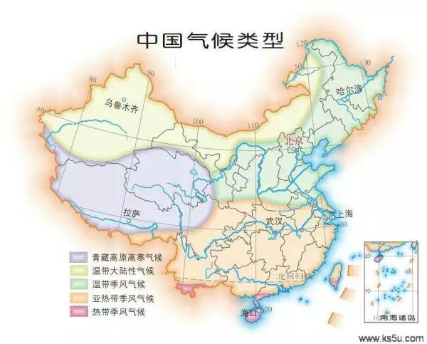 甘肃发现首例白化野骆驼:骆驼有许多散养的，怎样区分骆驼是野骆驼还是家骆驼