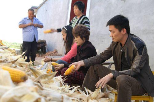 王宝强个人资料:王宝强是邢台哪里的，当地人怎么评价他？