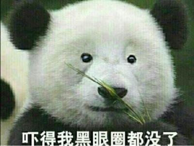 法国科学家在匈牙利发现类似大熊猫的古代熊遗体,声称大熊猫起源于欧洲,怎么看？