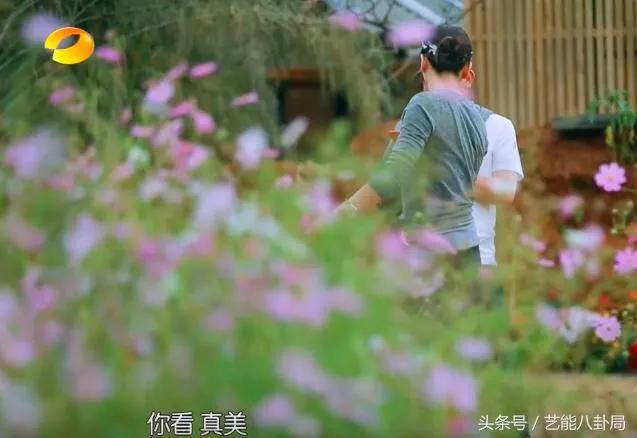 刘涛儿子女儿:看了《亲爱的客栈》，你怎么看刘涛和王柯这对夫妇的？