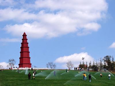 储时健:红塔山集团为什么没落了？