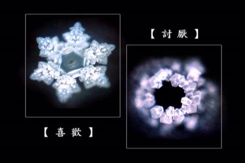 徐直军:如何看待江本胜的《水知道答案》